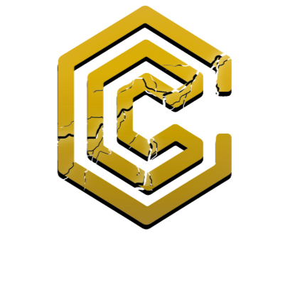 CONNECT CORP. P/L